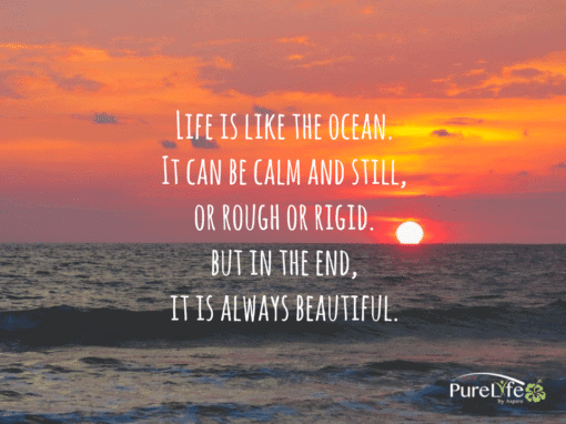 Life Is Like the Ocean - Pure Life Adventure